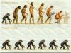 evolution_1.jpg